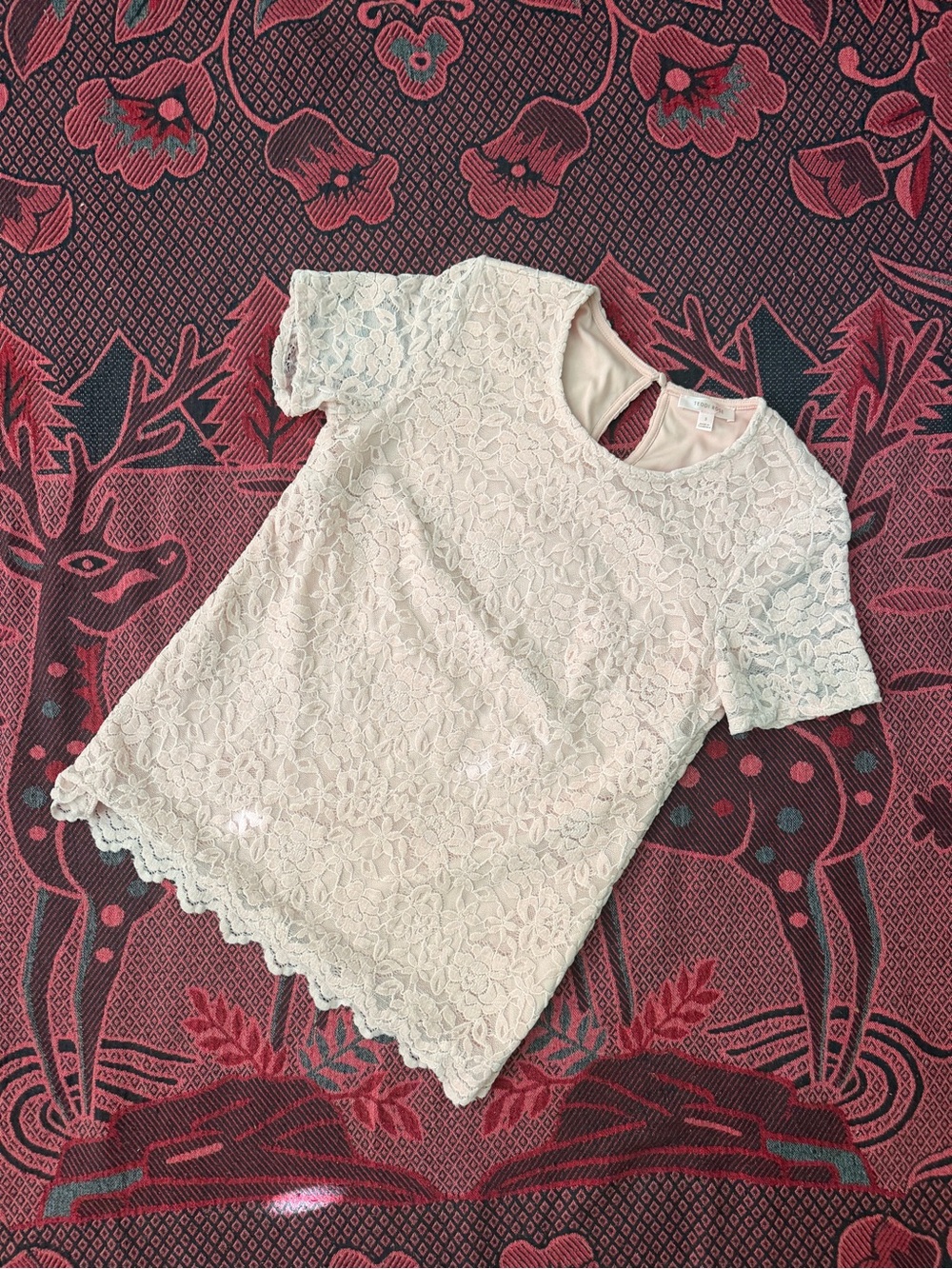 Lace Short-Sleeve Blouse in Cream
